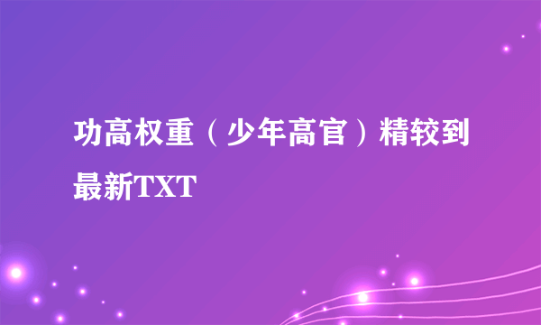 功高权重（少年高官）精较到最新TXT