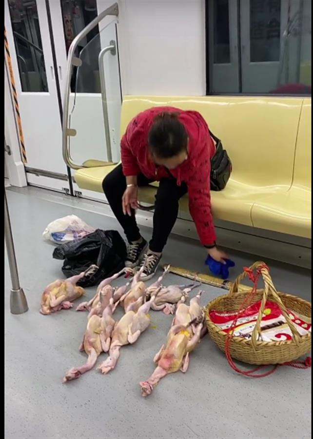 南京地铁大妈车厢内摆摊卖鸡，大妈的行为是否违规？