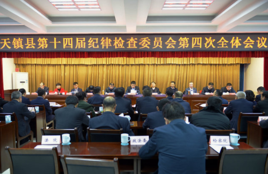 党的地方各级委员会全体会议，每年至少召开（　　）。