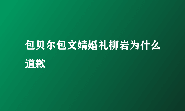 包贝尔包文婧婚礼柳岩为什么道歉