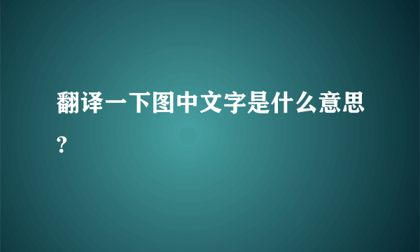 翻译一下图中文字是什么意思?