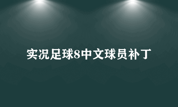 实况足球8中文球员补丁