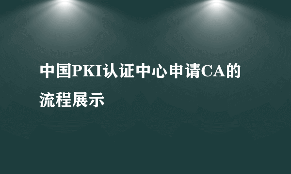 中国PKI认证中心申请CA的流程展示