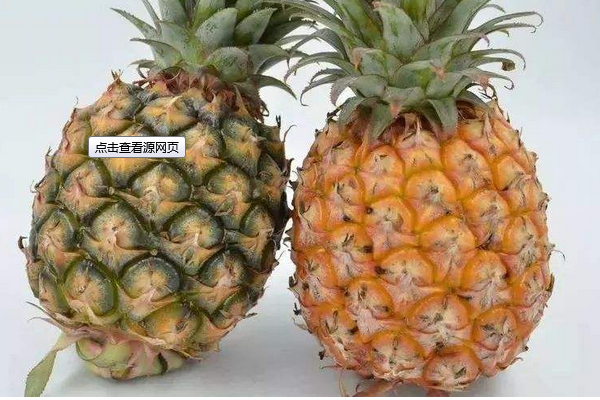 凤梨和菠萝的区别