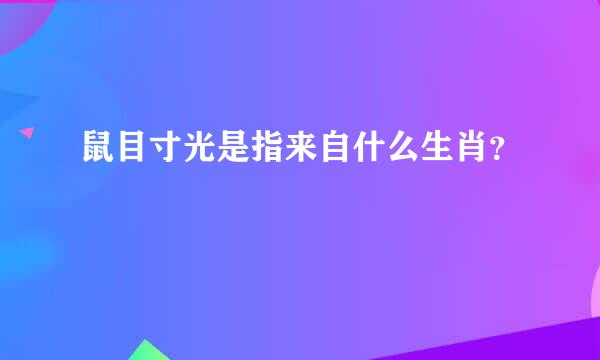 鼠目寸光是指来自什么生肖？