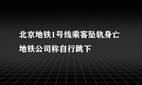 北京地铁1号线乘客坠轨身亡 地铁公司称自行跳下